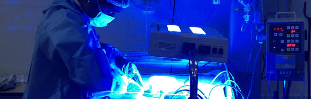 Maternal, Child Care